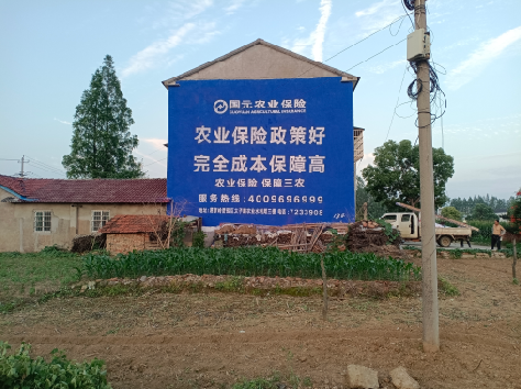 资中墙体广告为何受追捧？